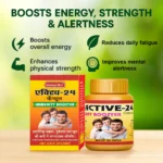 ACTIVE-24 Capsules – Ayurvedic Daily Energy & Wellness Supplement (30 Capsules) - Image 2