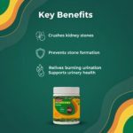 Pathreena Powder – 100 gm | Ayurvedic Kidney Stone & Urinary Care Formula - Image 2