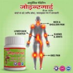 Joint Guard D.S. Tablets – Ayurvedic Joint Pain & Mobility Support Supplement - Image 7