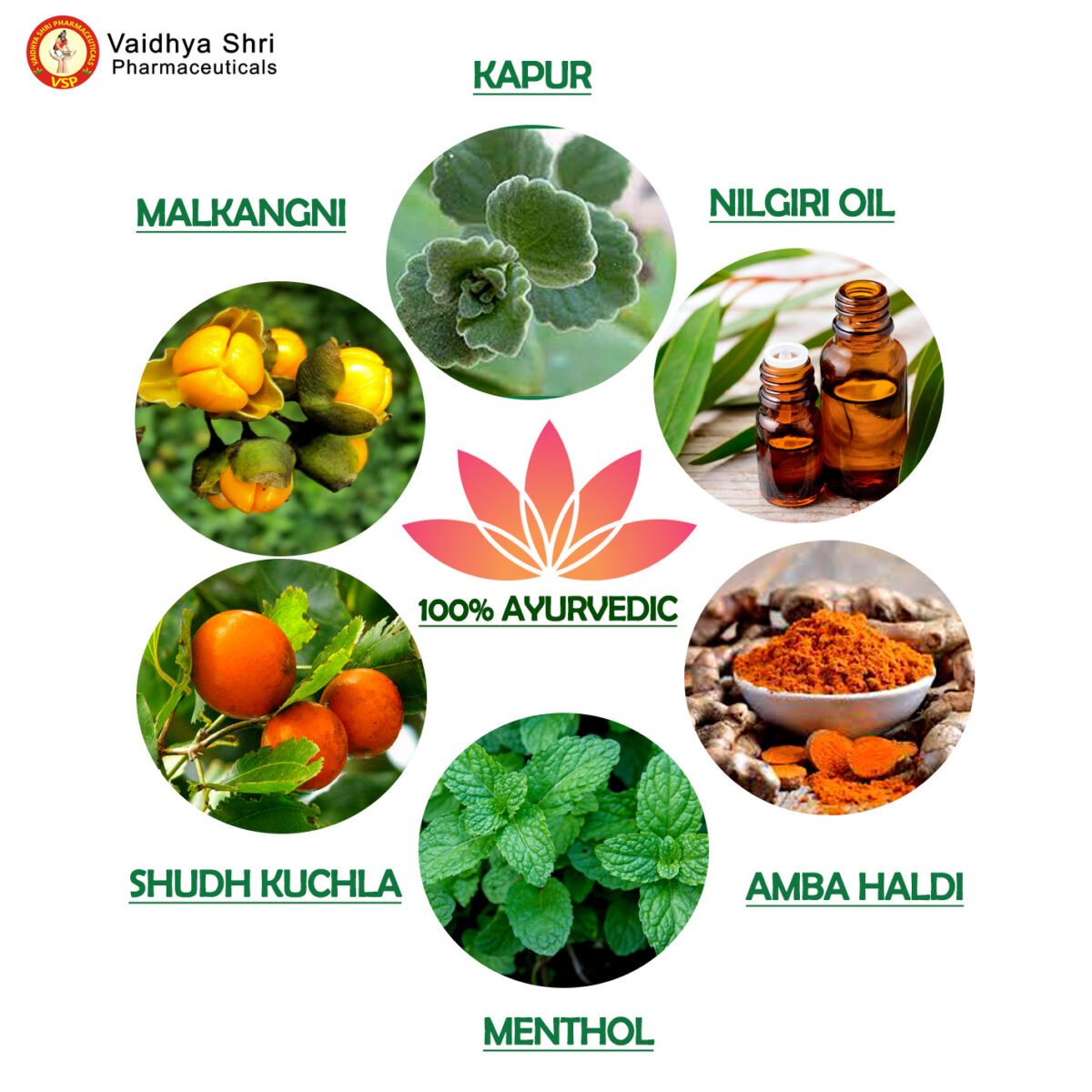 Orthoplus Oil – Herbal Pain Relief Oil for Joints & Muscles - Image 4