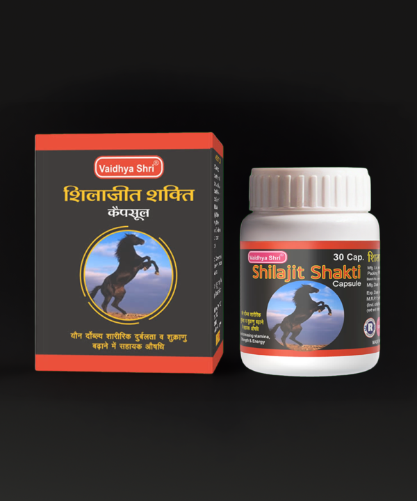 Shilajit Shakti Capsules – 30 Capsules | Ayurvedic Strength, Stamina & Vitality Support