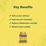 Joint Cartilage Capsules – 30 Capsules | Ayurvedic Joint, Cartilage & Mobility Support - Image 6