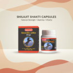 Shilajit Shakti Capsules – 30 Capsules | Ayurvedic Strength, Stamina & Vitality Support - Image 4