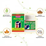 Joint Fluid Capsules – Herbal Relief for Joint Stiffness & Lubrication Support (30 Capsules) - Image 5