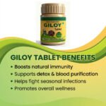 Guduchi Ghanvati Giloy Tablets – Natural Immunity Booster & Ayurvedic Wellness Support - Image 6