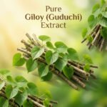 Guduchi Ghanvati Giloy Tablets – Natural Immunity Booster & Ayurvedic Wellness Support - Image 8