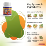 Rumashakti Fort Tablet – 30 Tablets | Ayurvedic Joint Health Support Formula - Image 2