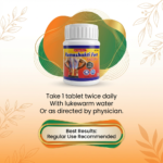 Rumashakti Fort Tablet – 30 Tablets | Ayurvedic Joint Health Support Formula - Image 6