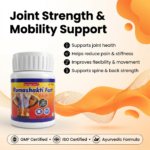 Rumashakti Fort Tablet – 30 Tablets | Ayurvedic Joint Health Support Formula - Image 4