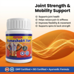 Rumashakti Fort Tablet – 30 Tablets | Ayurvedic Joint Health Support Formula - Image 3